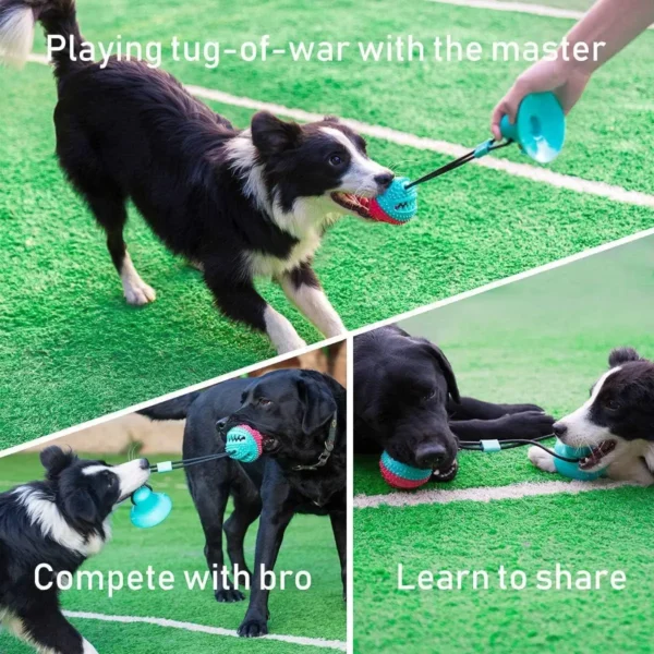 1Pcs Tug-of-war Pull Biting Ball Toy for Dogs