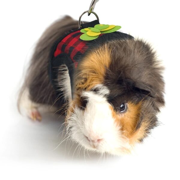 small pets adjustable harness & leash set ideal for hamsters, ferrets, guinea pigs, rats & more!