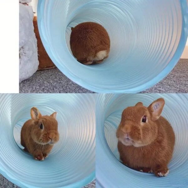 1pc expandable small pets tunnel toy for hamsters, chinchillas, guinea pigs, dutch pigs, & more!