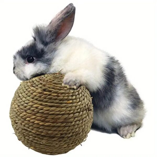 1pc natural grass interactive fun chew ball toy for rabbits and hamsters to clean teeth and encourage play!