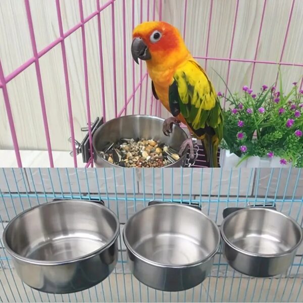 stainless steel bird feeder container for birds & small pets like parrots, cockatiels, parakeets, lovebirds, rabbits, & more!