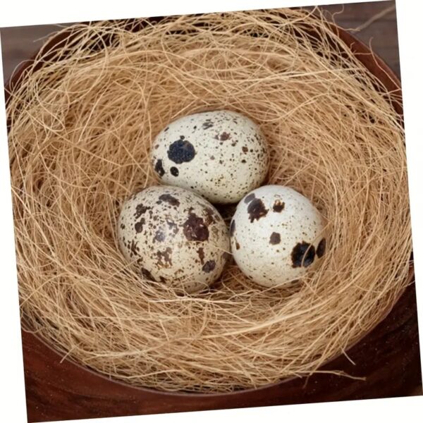 1pc Natural Coconut Fiber for Bird Nests, Ideal Nesting Material for Soft Bedding for Small Birds and Eggs