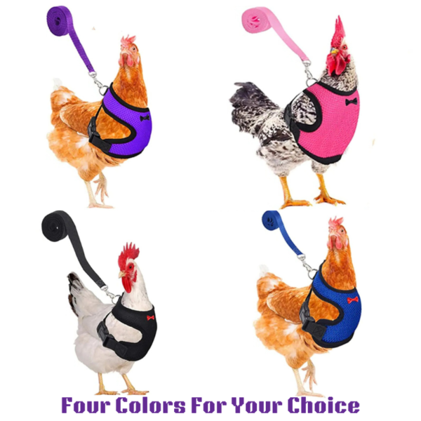 adjustable & anti scratch chicken harness with leash ideal for chicken, rooster, ducks, & more!