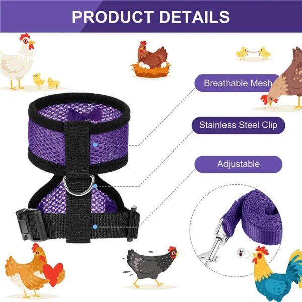 adjustable & anti scratch chicken harness with leash ideal for chicken, rooster, ducks, & more!