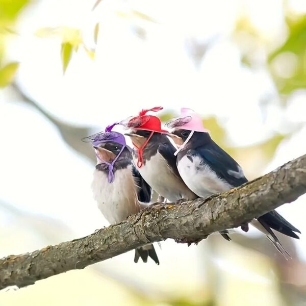 1pc/6pcs butterfly chicken hats with adjustable elastic chin strap for chicken, rooster, duck, & more!