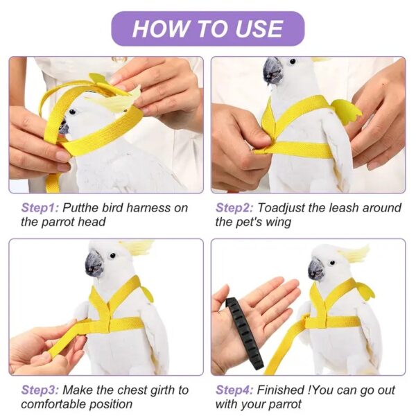 anti bite adjustable training cute parrot wings harness & nylon rope leash ideal for parrots, cockatiels, lovebirds, and more!