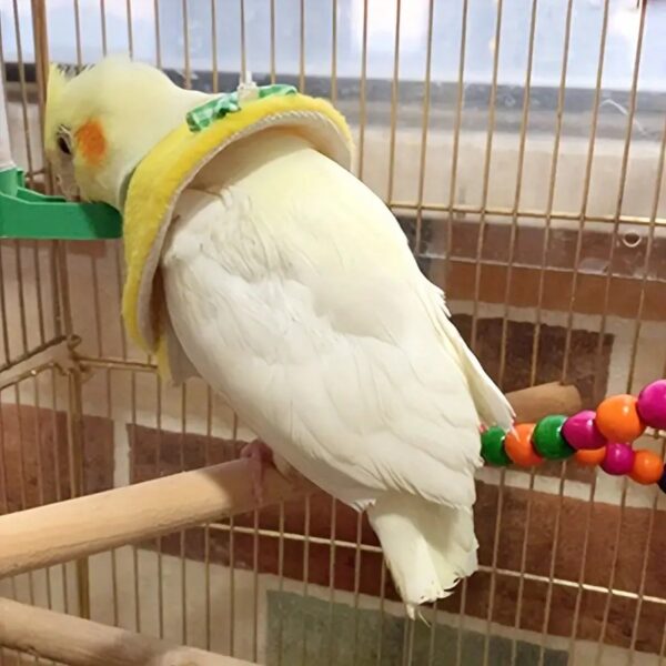 adjustable anti bite parrot cone collar for wound recovery and healing, ideal for medium to large birds!