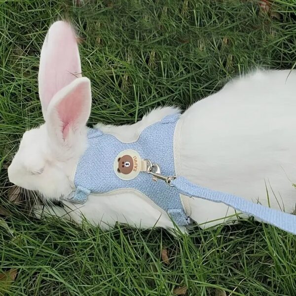 1pc soft bear pattern harness and leash set, comfortable vest for small animals, perfect for bunny, hamster, and cat owners