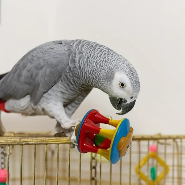 colorful chewing hanging parrot ball toy for medium & large parrots, cockatiels, parakeets, lovebirds, & more!