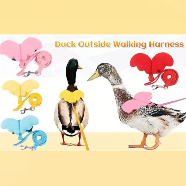 cute adjustable ducks butterfly decor harness & leash suitable for ducks, chickens, kittens, puppies, and rabbits for outdoor training & walk!