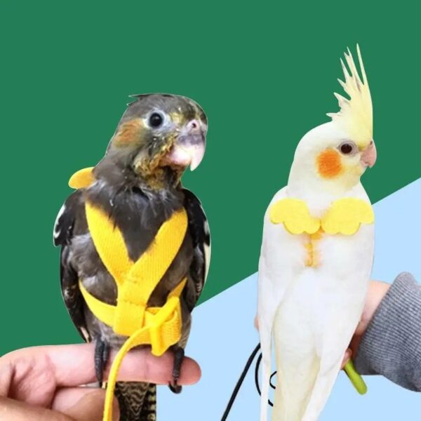 anti bite adjustable training cute parrot wings harness & nylon rope leash ideal for parrots, cockatiels, lovebirds, and more!