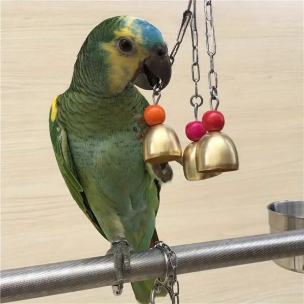 Alloy Steel Hanging Bird Bell Toys For Parrots, Cockatiels, Parakeets, Lovebirds, & More!