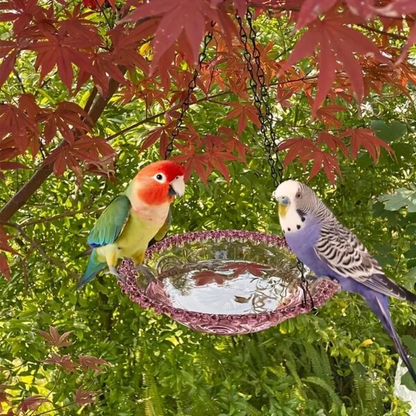 hanging flower shaped outdoor bird feeder & birdbath perfect for cage, yard, farm, & garden!