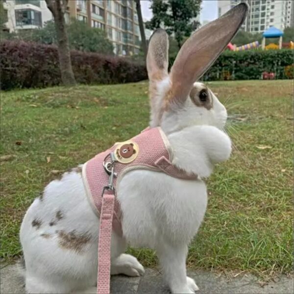 1pc soft bear pattern harness and leash set, comfortable vest for small animals, perfect for bunny, hamster, and cat owners