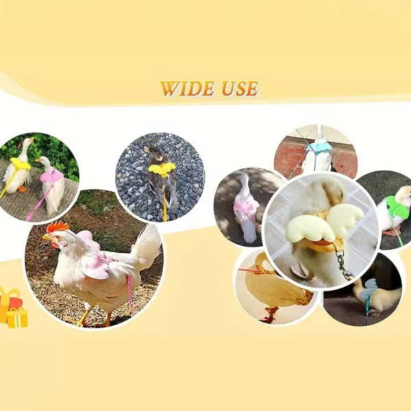 cute adjustable ducks butterfly decor harness & leash suitable for ducks, chickens, kittens, puppies, and rabbits for outdoor training & walk!