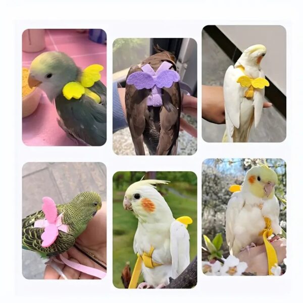 anti bite adjustable training cute parrot wings harness & nylon rope leash ideal for parrots, cockatiels, lovebirds, and more!