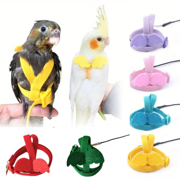 anti bite adjustable training cute parrot wings harness & nylon rope leash ideal for parrots, cockatiels, lovebirds, and more!