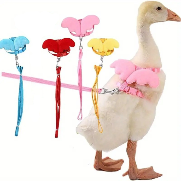 cute adjustable ducks butterfly decor harness & leash suitable for ducks, chickens, kittens, puppies, and rabbits for outdoor training & walk!