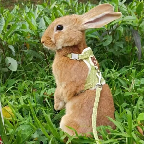 1pc soft bear pattern harness and leash set, comfortable vest for small animals, perfect for bunny, hamster, and cat owners