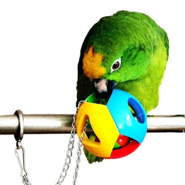 colorful chewing hanging parrot ball toy for medium & large parrots, cockatiels, parakeets, lovebirds, & more!