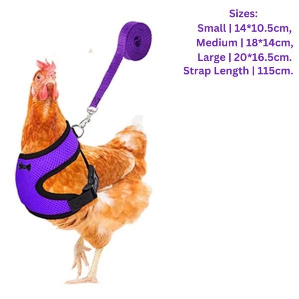 adjustable & anti scratch chicken harness with leash ideal for chicken, rooster, ducks, & more!